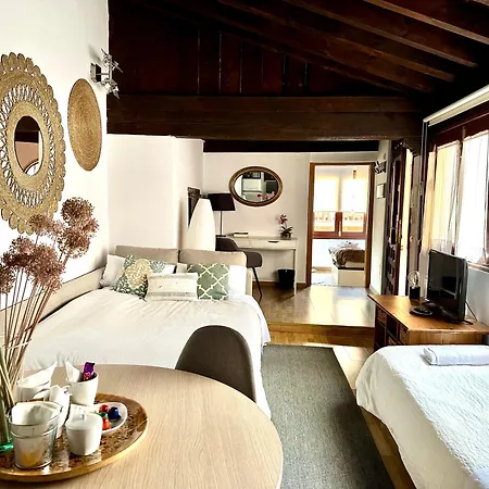 Apartment Apart. Palacio Canonigo 7 - Junto Catedral