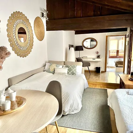 Apart. Palacio Canonigo 7 - Junto Catedral Apartment *